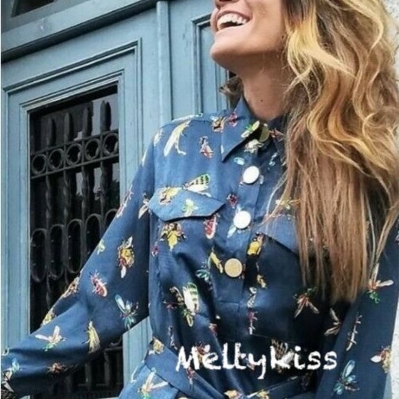 NWT ZARA INSECT PRINT MIDI DRESS WITH BELT Sz-M - Picture 4 of 8